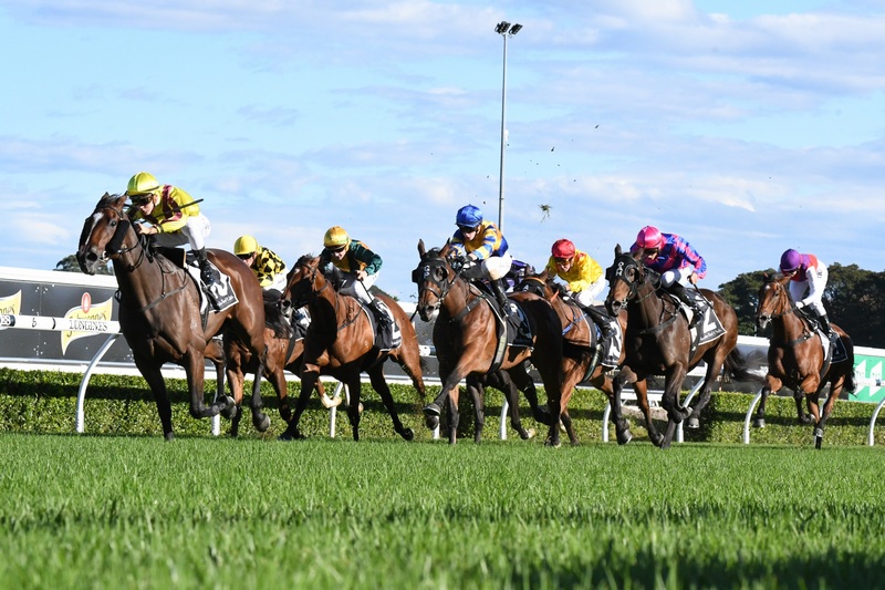 Randwick Tip Sheet & Staking Plan – Saturday 14th December