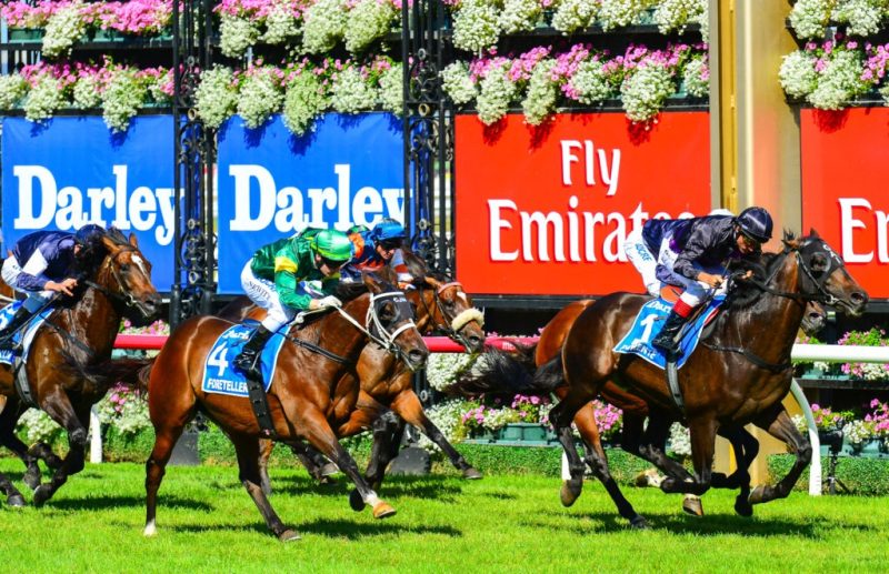 G1 Mackinnon Stakes Preview: Why Each Horse Can & Can’t Win