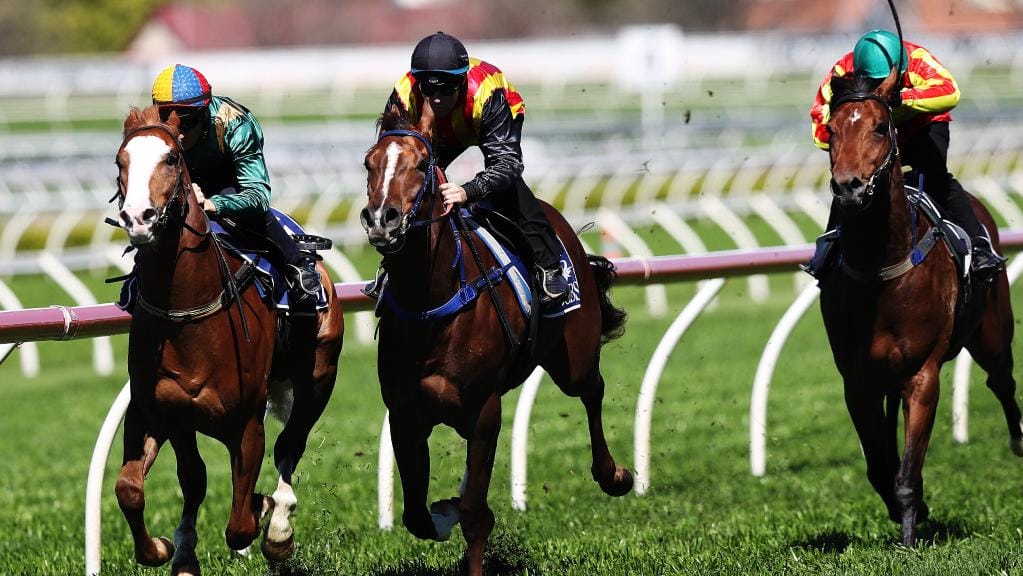 Trial Review: Horses To Follow From The Trials This Past Week 4/12