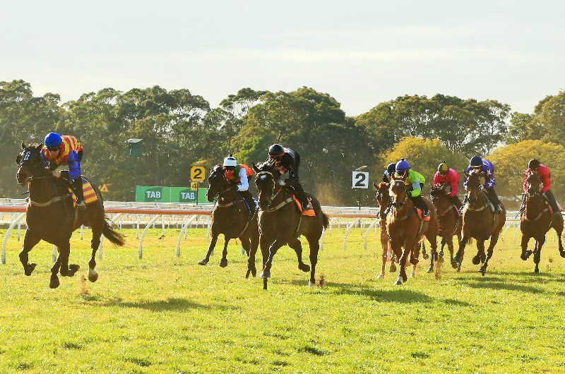 Trial Review: Horses To Follow From The Trials This Past Week