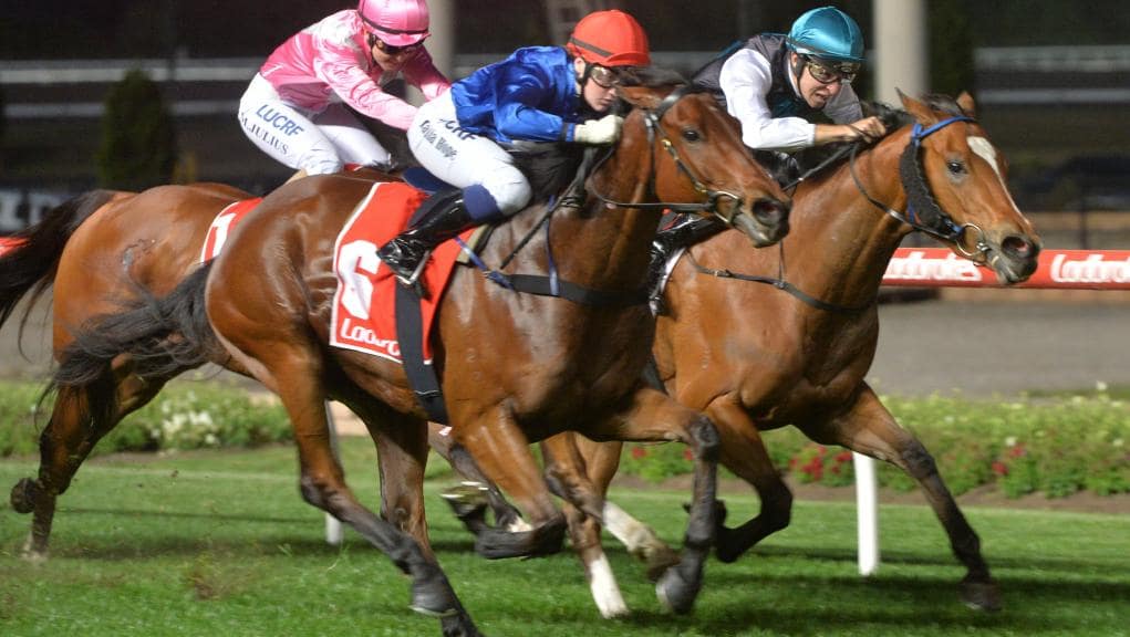 Moonee Valley Rapidfire Preview & Selections