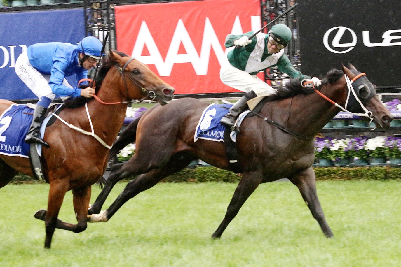 Group 1 Newmarket Handicap: Speedmap, Analysis & Staking