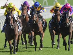 RACING TIPS: Kensington Best Selection & Value Play 27/8
