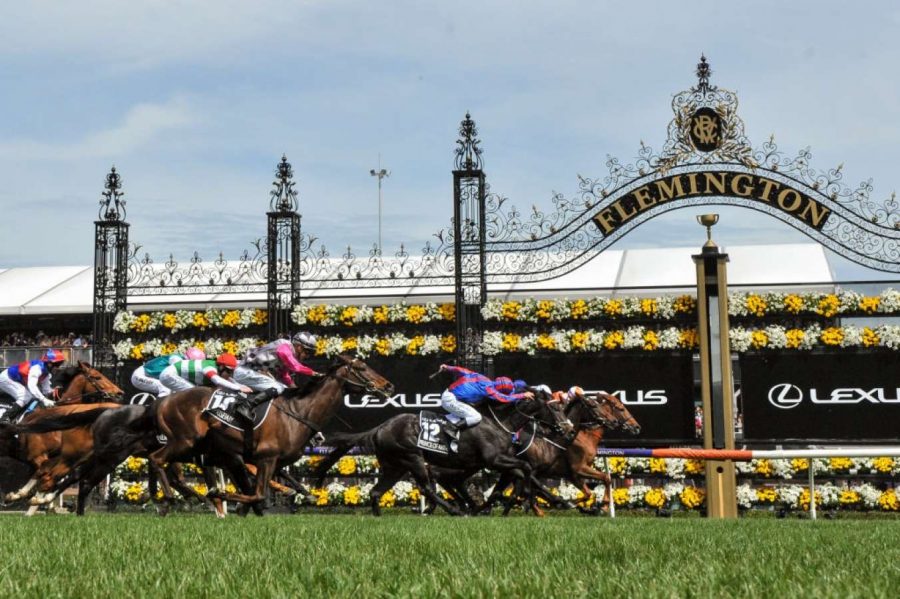 FREE: Flemington Tip Sheet & Staking Plan – Saturday 20/06