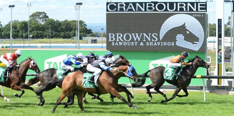 Our $1,800 Cranbourne Cup Day Competition Is Open!