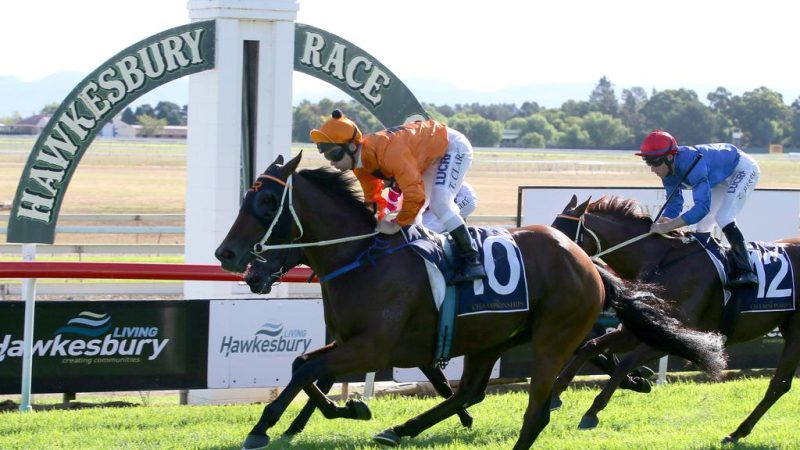 Our Black Book: Horses You Must Follow From Hawkesbury 4/5