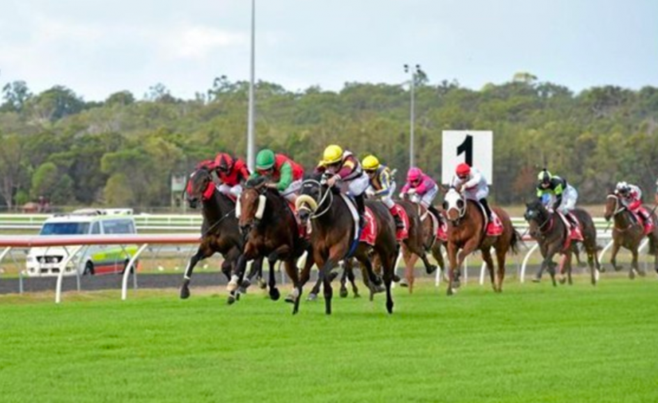 FREE: Sunshine Coast Tip Sheet & Staking Plan: Saturday 11th July