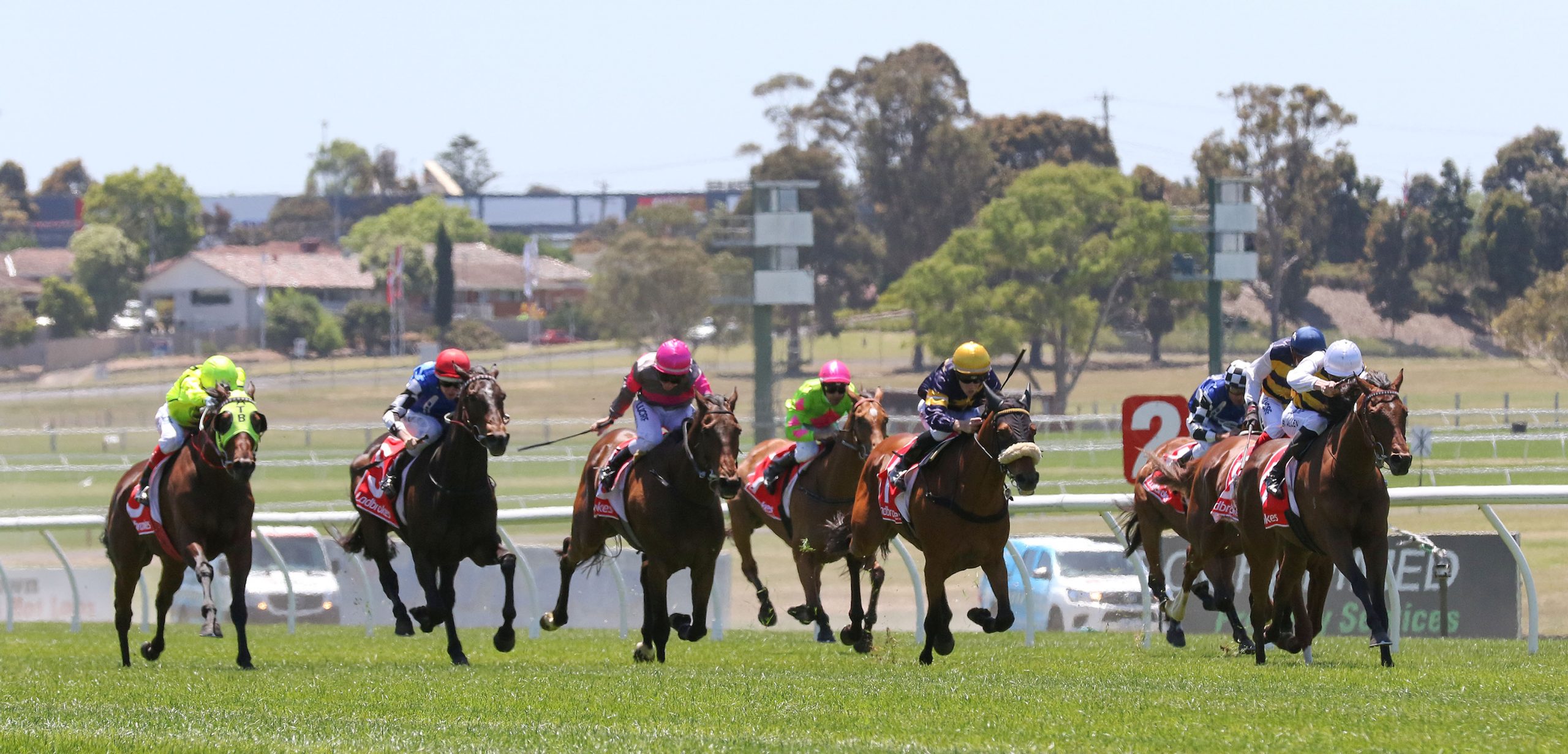 FREE: Sandown Hillside Tip Sheet & Staking Plan: Wednesday 20th September