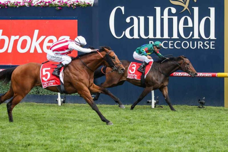 Racing Ratings: Horses To Follow From Caulfield 10/5