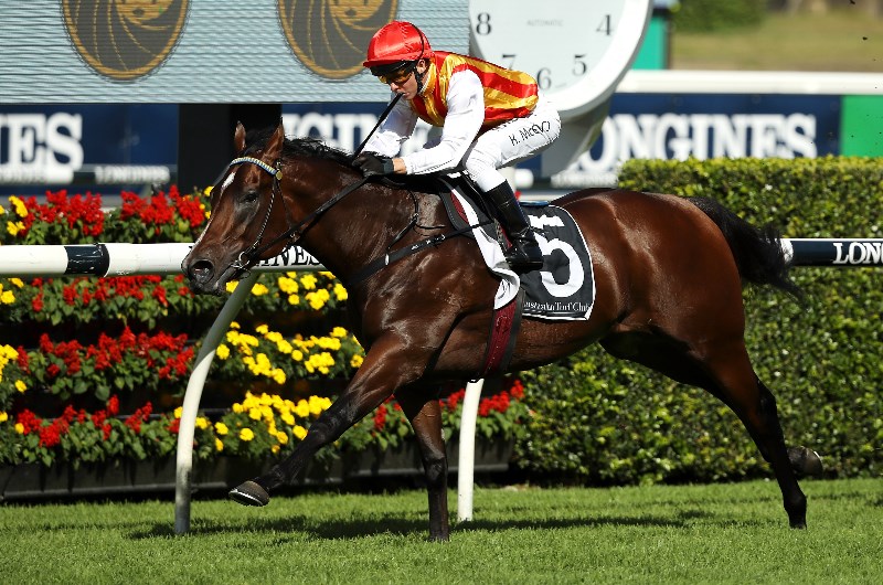 Rosehill Tip Sheet & Staking Plan: Saturday 29th August