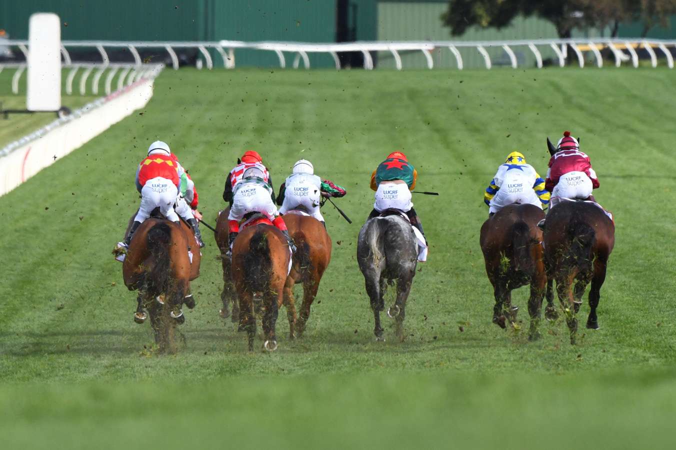 FREE: Sandown Lakeside Tip Sheet & Staking Plan: Wednesday 5th July