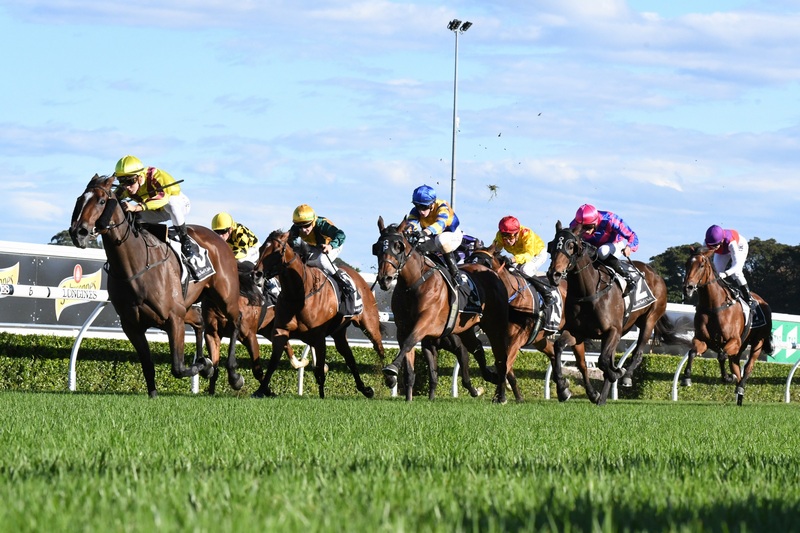 Horses You Must Follow From Albury 18th August