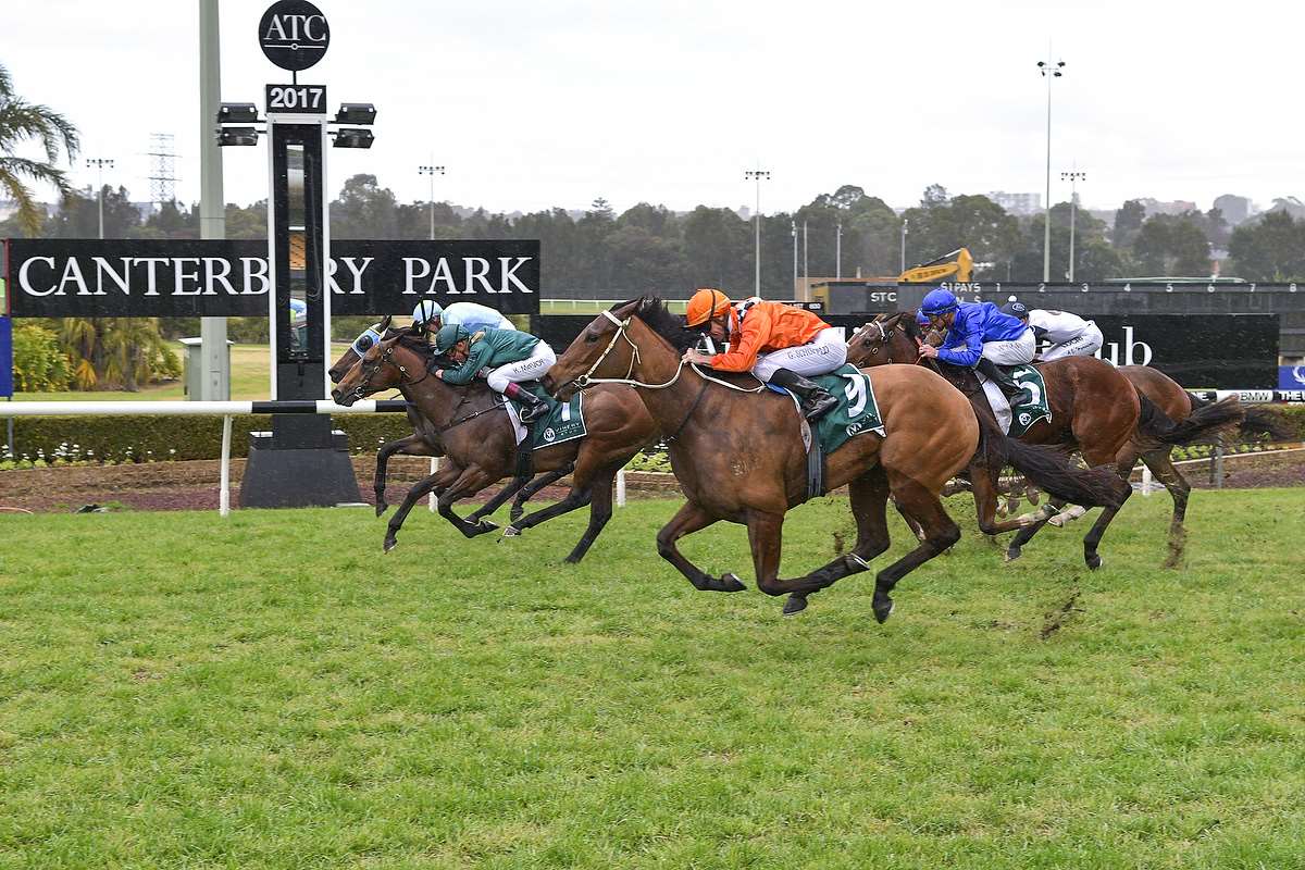 Canterbury Tip Sheet & Staking Plan – Wednesday 23rd September