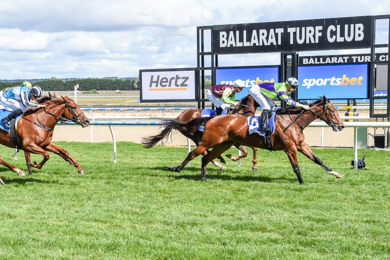Our Black Book: Horses You Must Follow From Ballarat 9/12