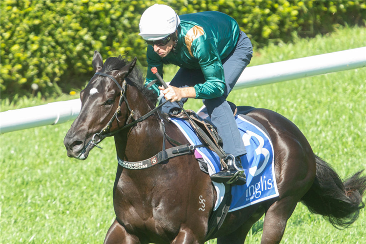 Randwick: G3 Breeders’ Plate Runner By Runner Preview & Tips