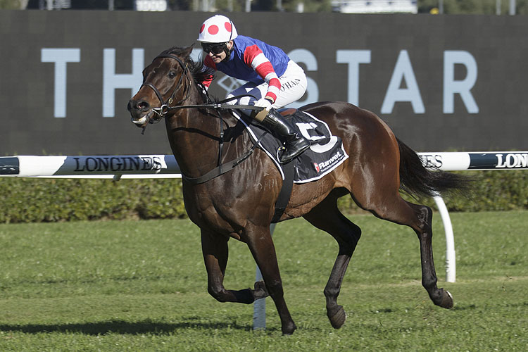 Randwick Tip Sheet & Staking Plan: Tuesday 2nd November