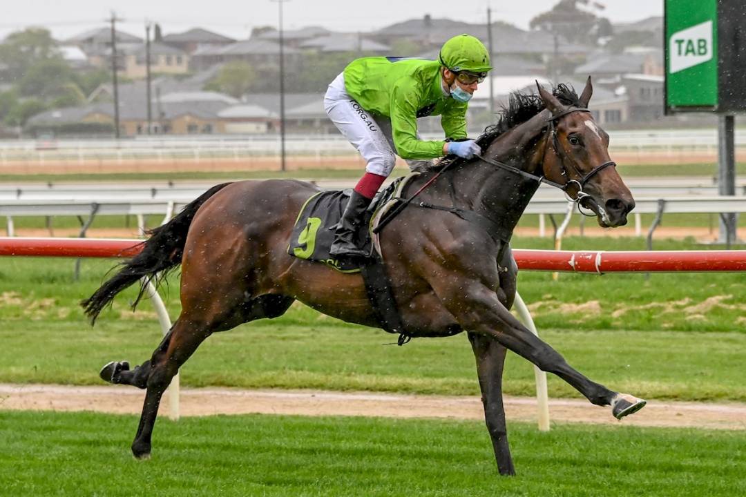 Tralee Rose Set For Big Staying Future