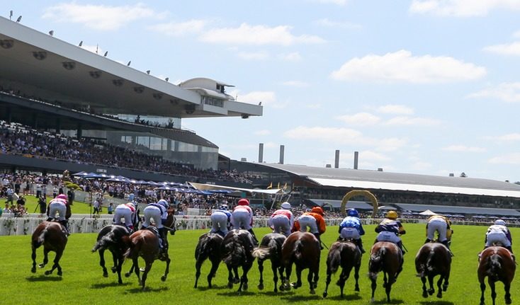 Saturday Review: Horses You Must Follow From Rosehill 5/12