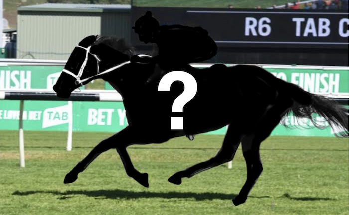 FREE: The Plunge’s Black Book: Horses Running At Randwick 23/4