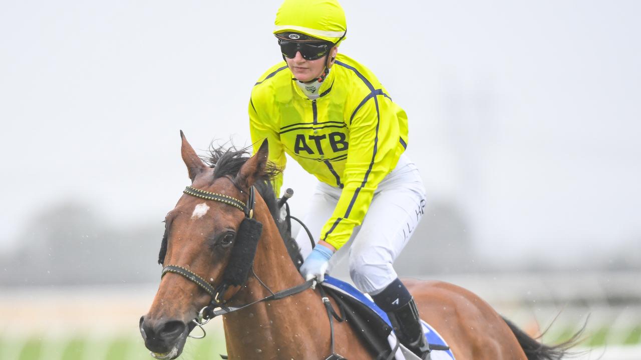 Sirius Suspect primed for Standish Handicap