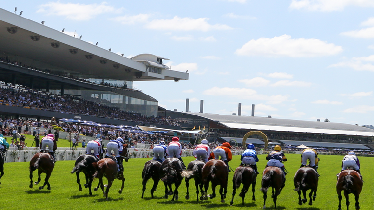 The Plunge’s Saturday Review: Horses You Must Follow From Rosehill 30/1