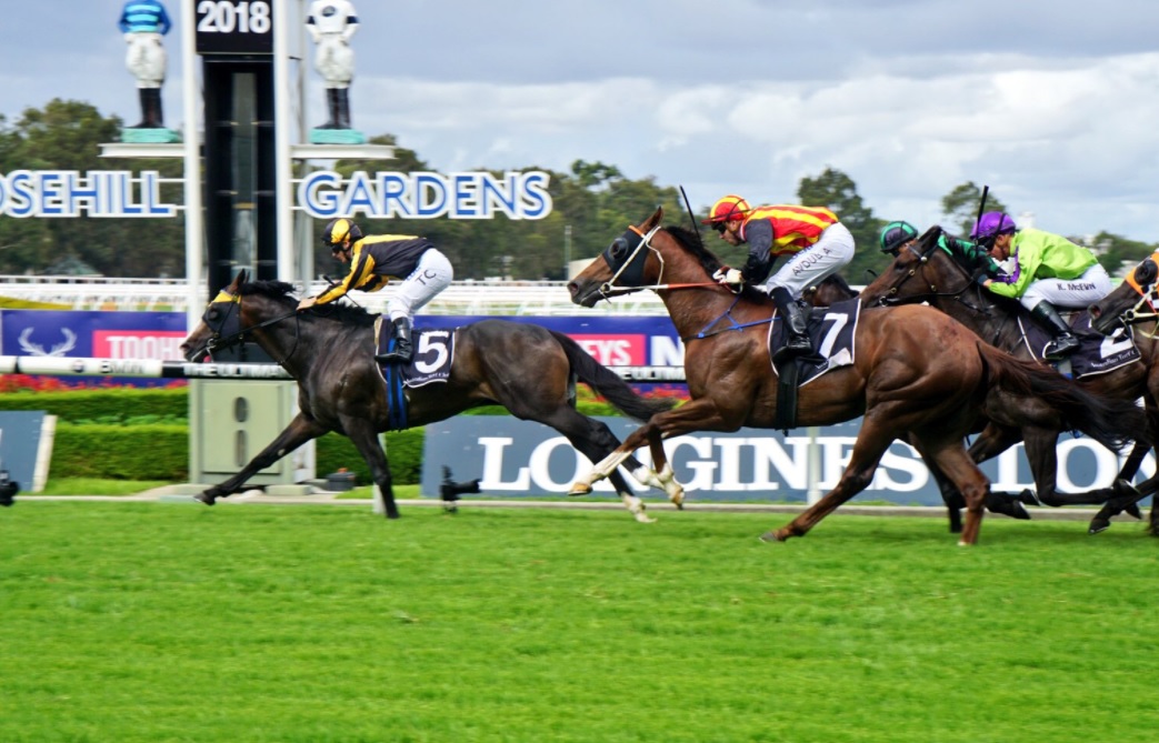 Rosehill Tip Sheet & Staking Plan: Saturday 16th January