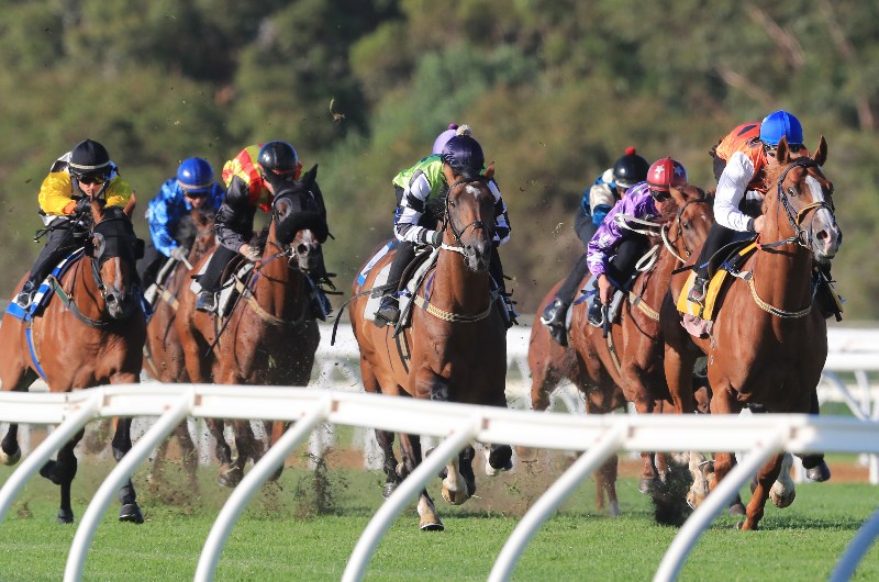 Trial Review: Horses That Caught The Eye At The Trials This Week 7/8
