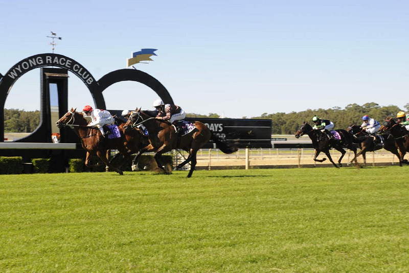 THE EDGE: NSW Provincial & Country Service – Wyong Cup Day 2/9