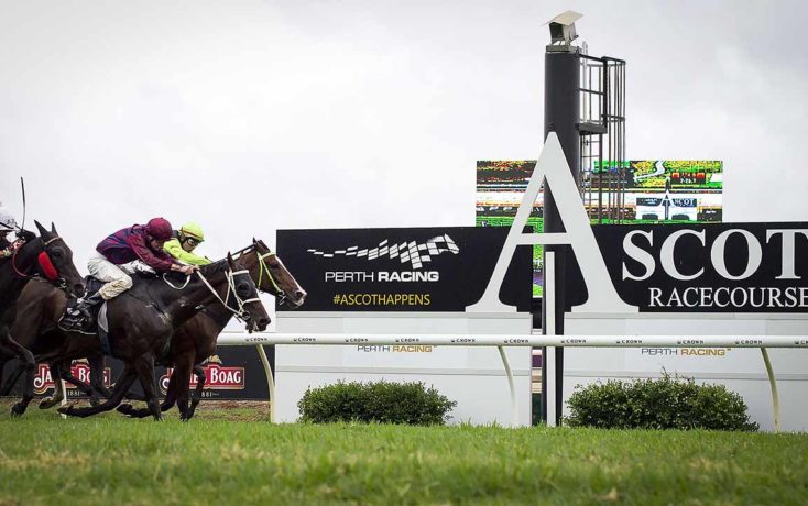 FREE: Ascot Selections Day 3 of The Pinnacles – Winterbottom Stakes Day Saturday 26th November