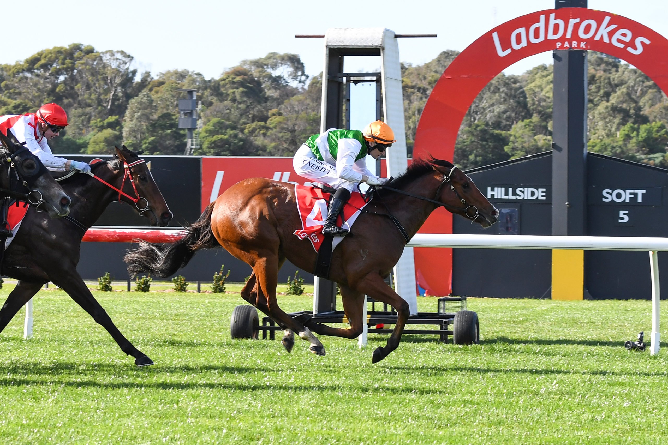 Sandown Hillside Tip Sheet & Staking Plan: Wednesday 3rd February