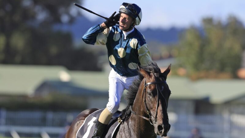 Race By Race Review: Tempo Breakdown, Track Bias & Runner Insights – Rosehill Saturday 3rd April