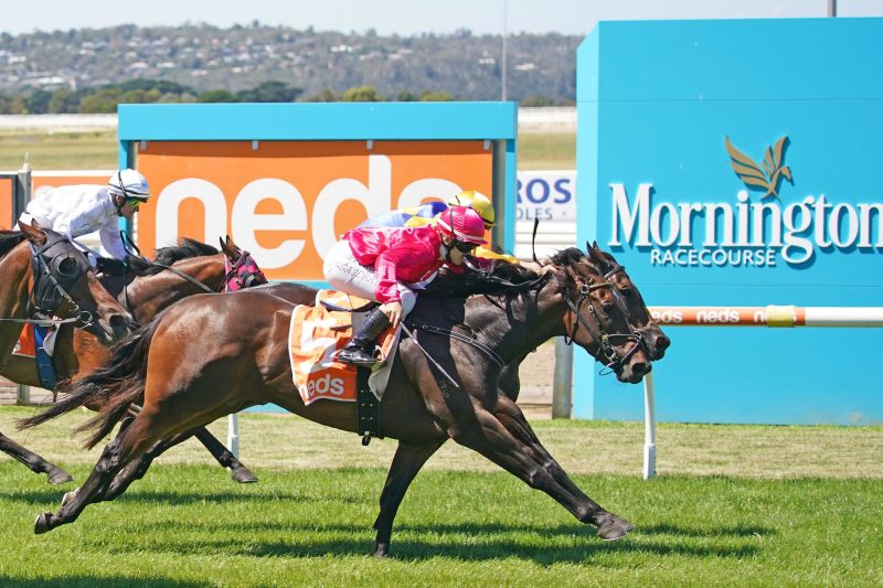 Our Black Book: Horses You Must Follow From Mornington 20/4