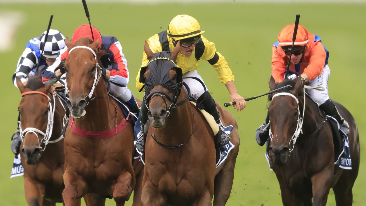 Warwick Farm Tip Sheet & Staking Plan: Wednesday 28thApril