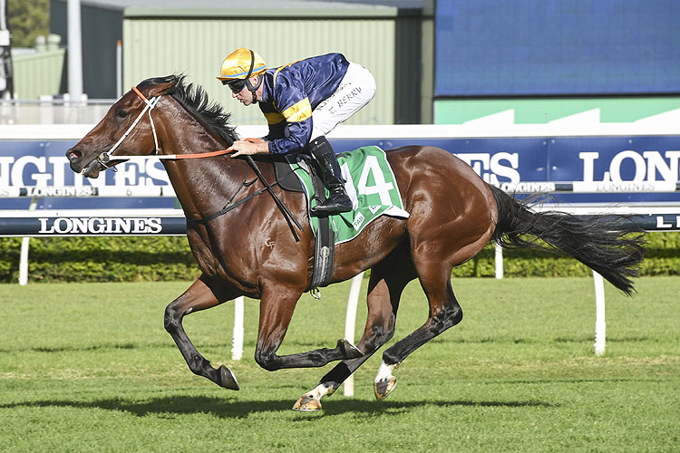 Rosehill Tip Sheet & Staking Plan: Saturday 19th June