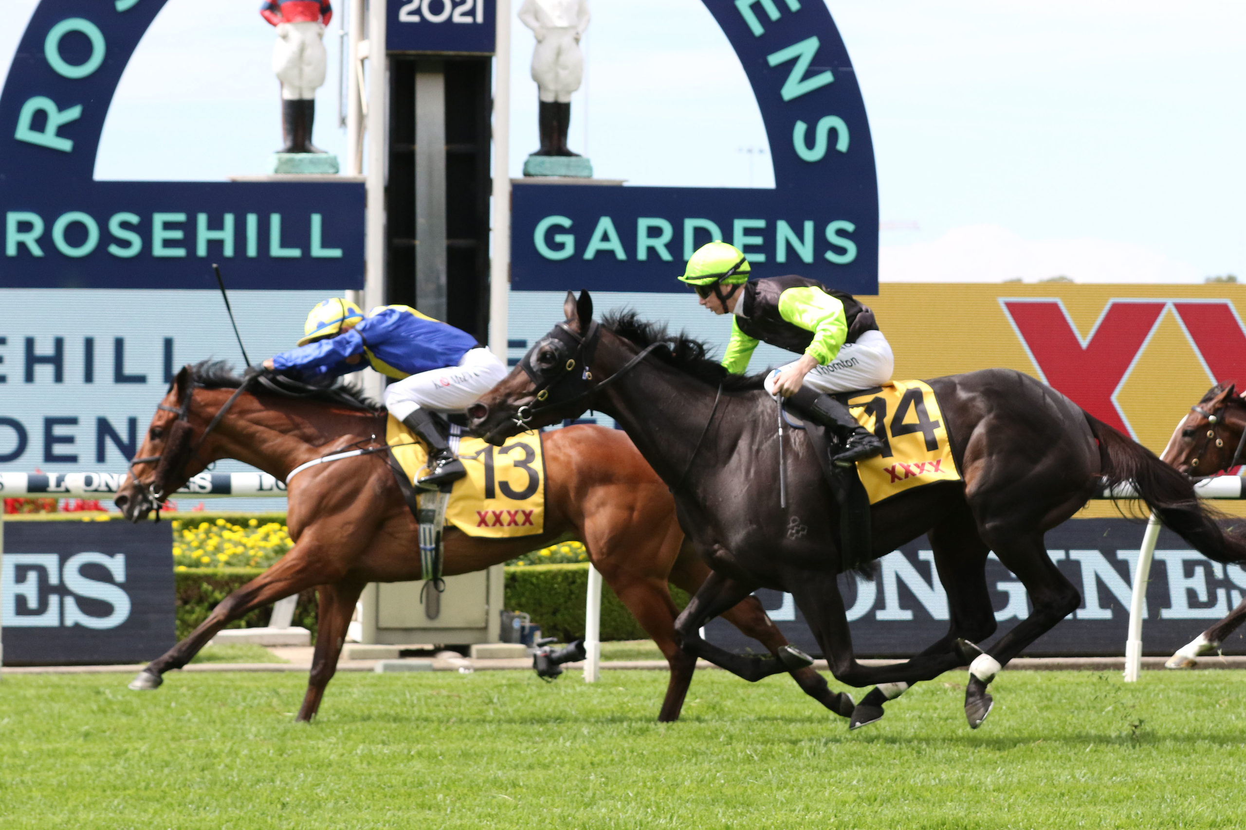 Favourite Moon ready to launch ahead of tomorrow’s Sydney Cup 