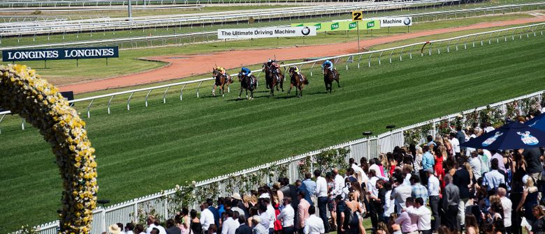 Rosehill Tip Sheet & Staking Plan: Saturday 15th May