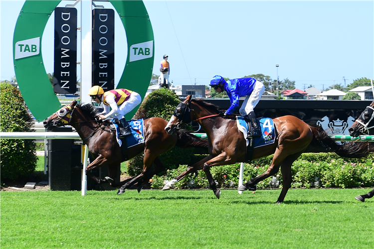 Racing Market Movers: Which Horses Have Been Backed This Wednesday 11/6