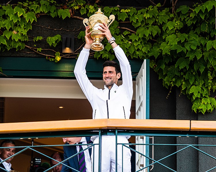Novak Djokovic reaches 2022 Wimbledon Final