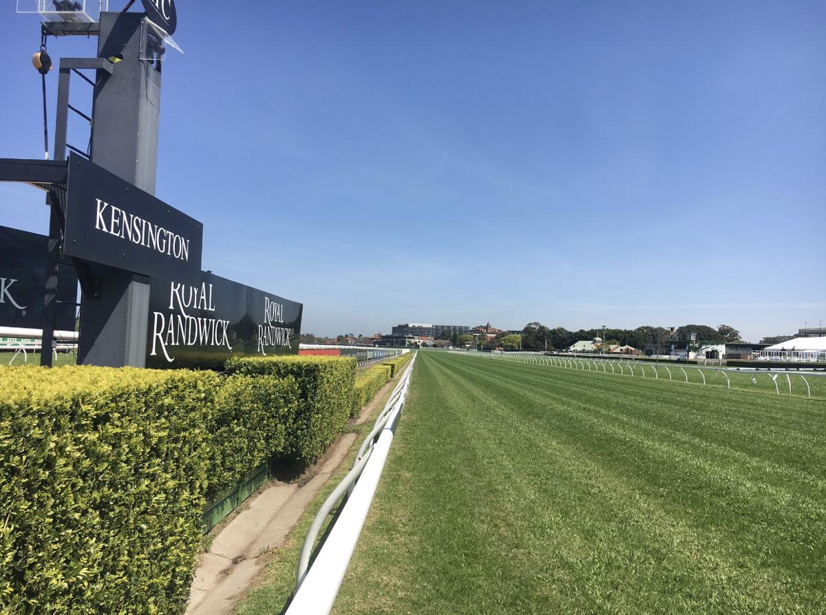 Randwick Kensington Tip Sheet & Staking Plan: Wednesday 18th August