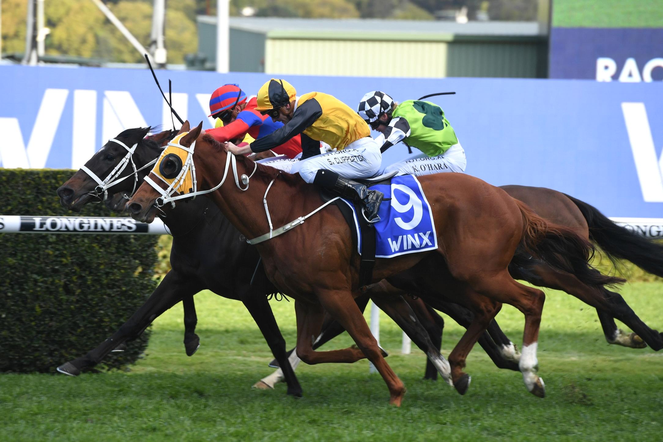 Final Field is in for the first Group 1 of the season