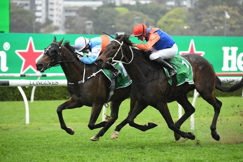 2021 Chelmsford Review: What The Jockeys Said