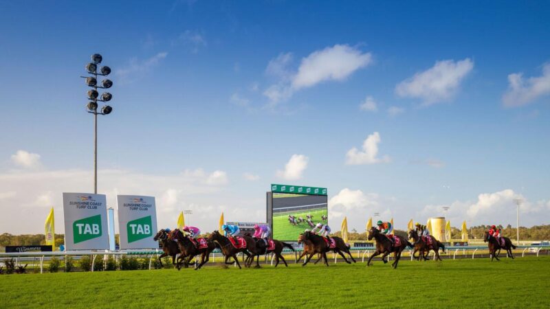 FREE: Gold Coast Tip Sheet and Staking Plan Saturday 25/9 – QLD Service