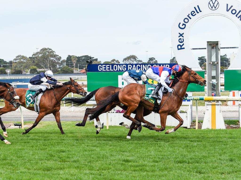 Geelong Tip Sheet & Staking Plan : Wednesday 29th September