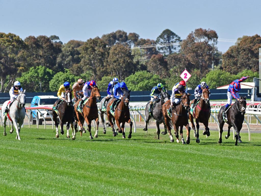 Geelong Tip Sheet & Staking Plan : Wednesday 20th October