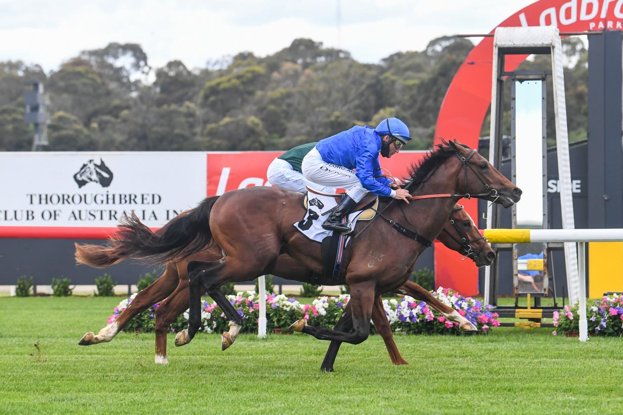 Caulfield Guineas Final Field & Barriers 