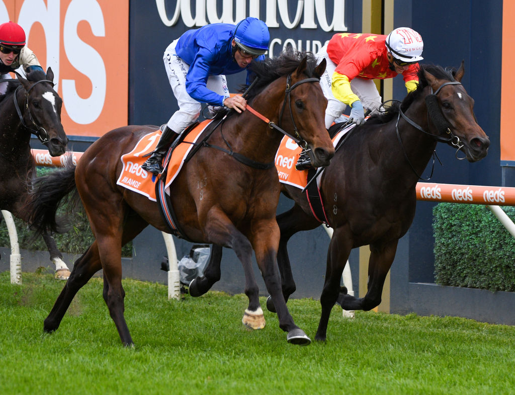 Three-year-olds ready to fire in Cox Plate