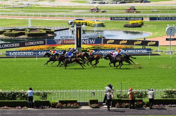 Rosehill Tip Sheet & Staking Plan: Saturday 30th October