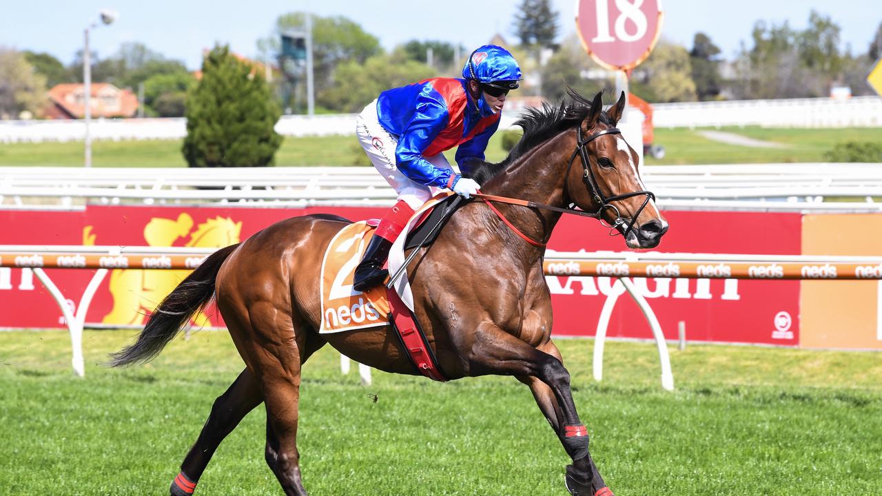 Five talking points: Cox Plate up for grabs after Zaaki flop