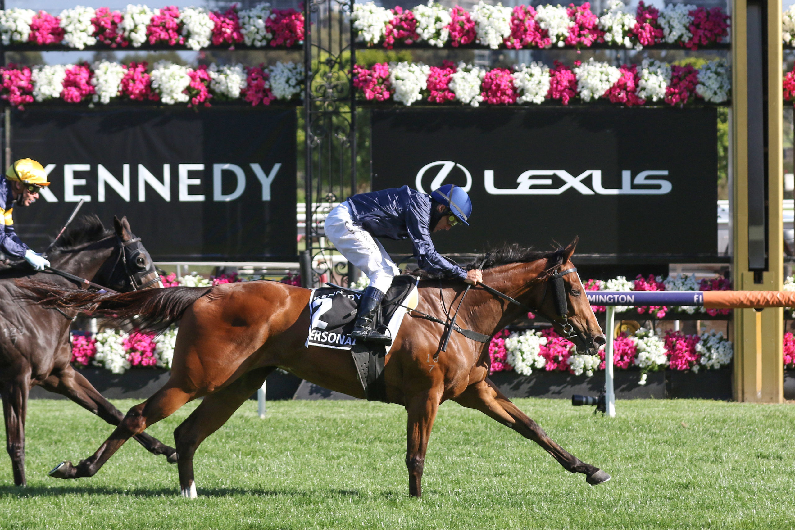 Flemington Tip Sheet & Staking Plan : Thursday 4th November