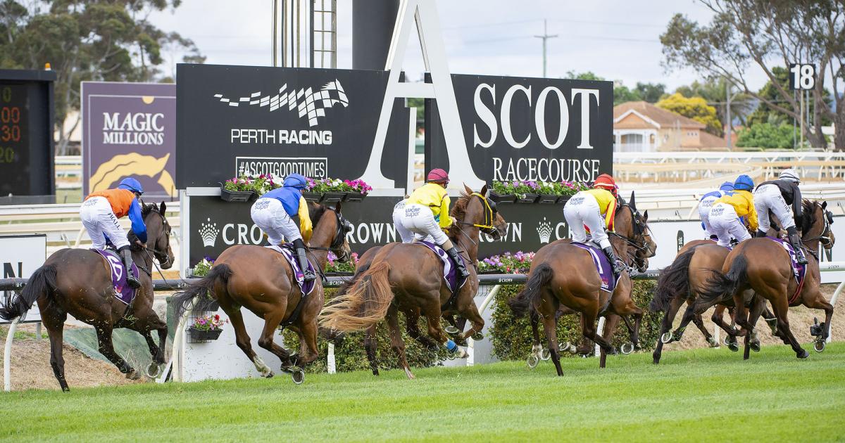Ascot Selections & Staking Plan: Saturday 18th December